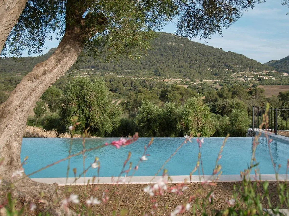 ***** Hotel Fincahotel Treurer - Olive Grove & Grand House - Adults Only Algaida  Spagna