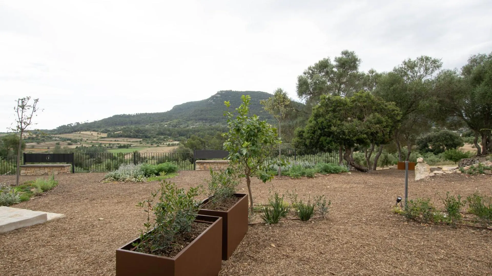 Hotel Fincahotel Treurer - Olive Grove & Grand House - Adults Only Algaida