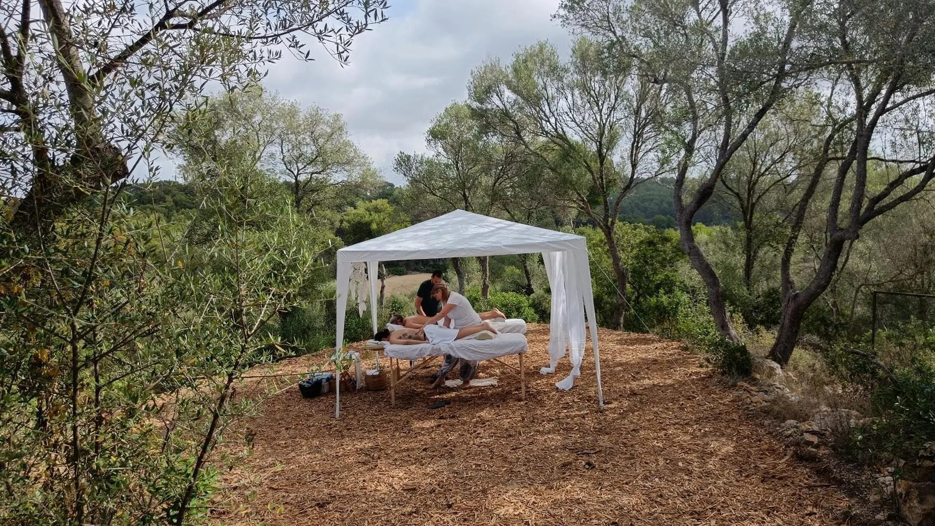 Fincahotel Treurer - Olive Grove & Grand House - Adults Only Algaida